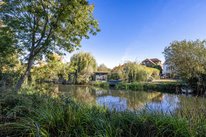 River Mole- click for photo gallery